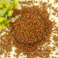 99% Purity Red Sorghum en venta en es.dhgate.com